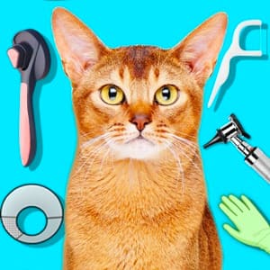 Cat Pet Doctor Dentist