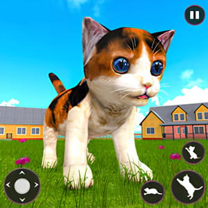 Cat Simulator Online