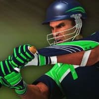 Cricket Batter Challenge