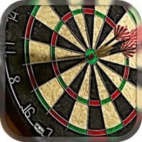 Darts Pro