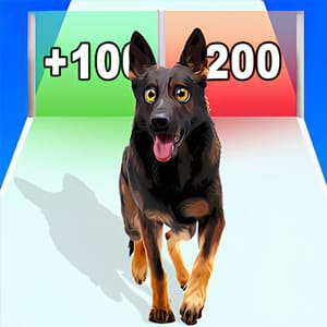 Dog Evolution Run