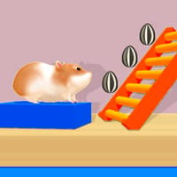 Hamster Stack Maze