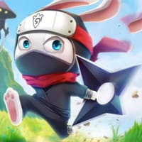 Ninja Rabbit