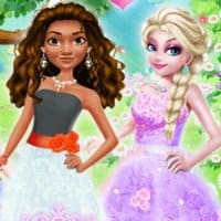 Princess Tulle Dress Art Photo