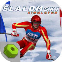 Slalom Ski Simulator